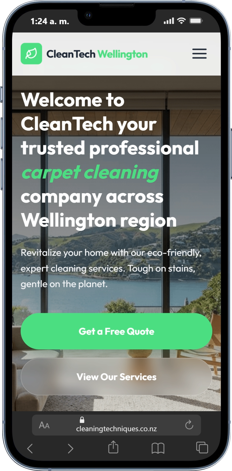 CleanTech Wellington